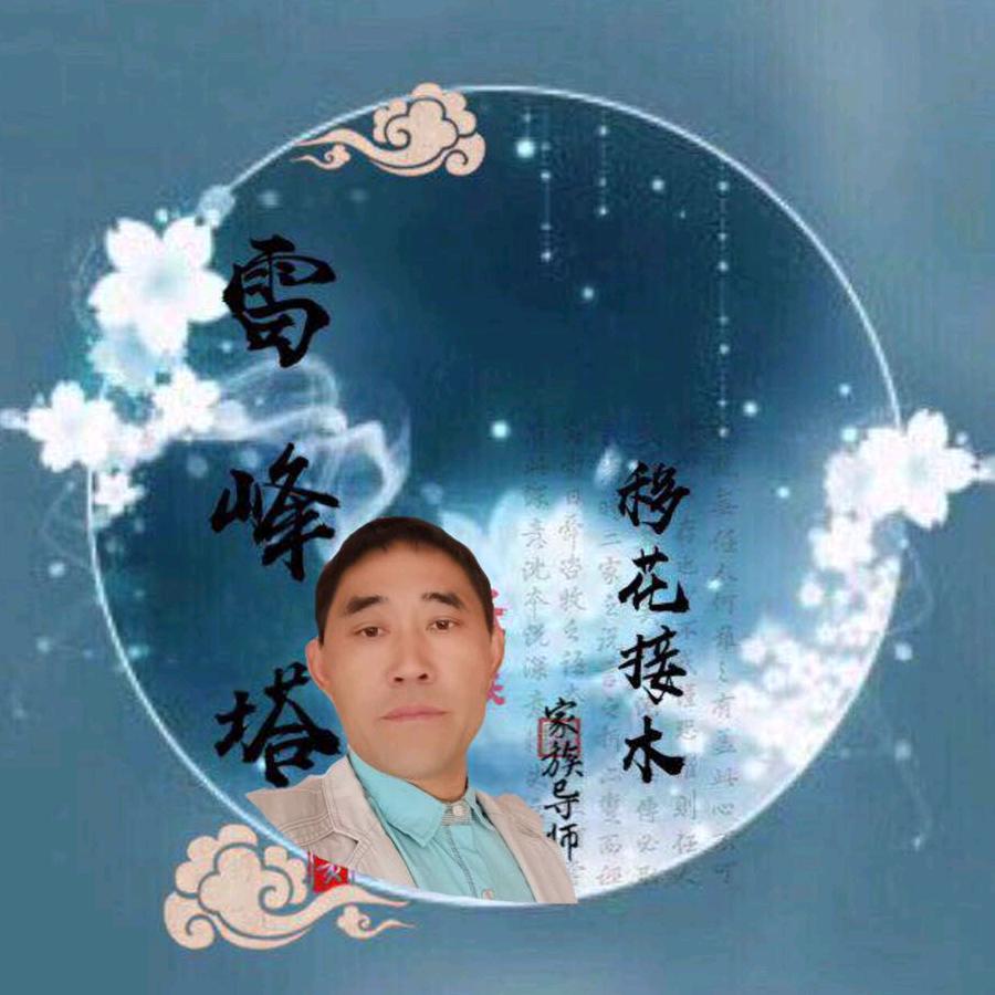 专业贴砖,美缝移🌸接木