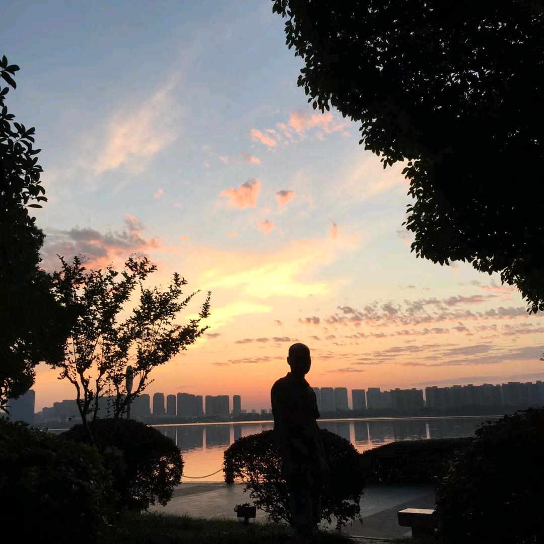 雁南飞