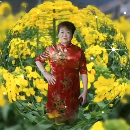 刘云英53年出生的蛇