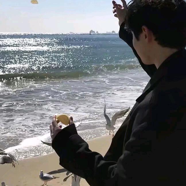 桥上风景独好
