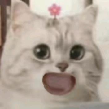 秋