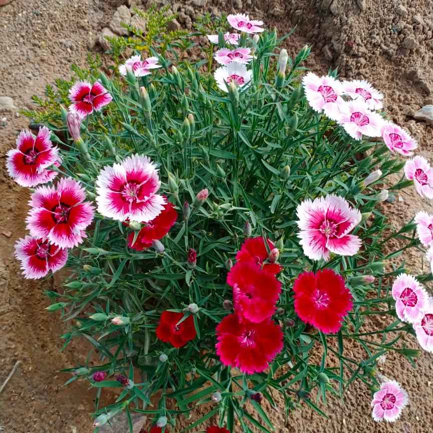 雨滴💅拒绝私聊👏👏👏