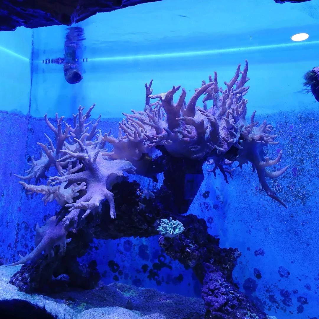 ~小❤️调🔴皮～