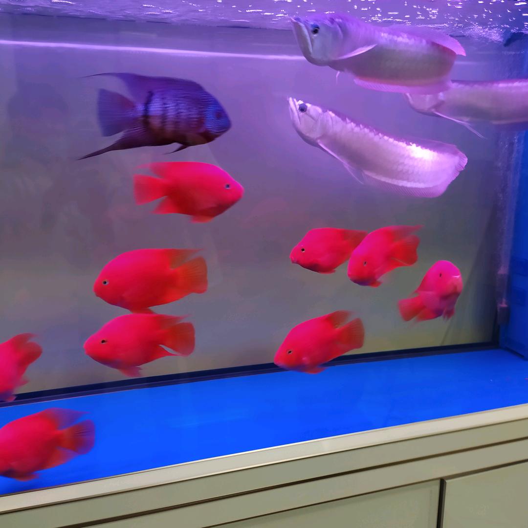 用户9455209894390