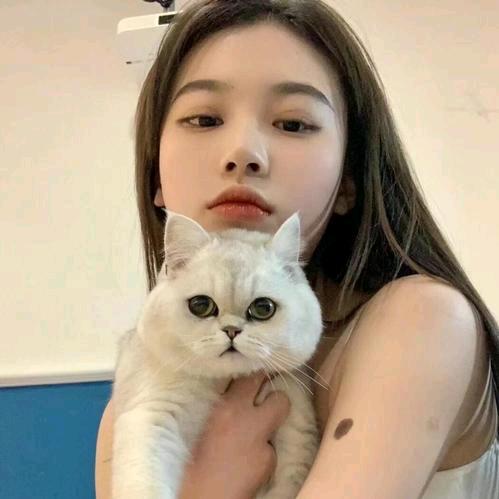 翻斗花园小美🐳