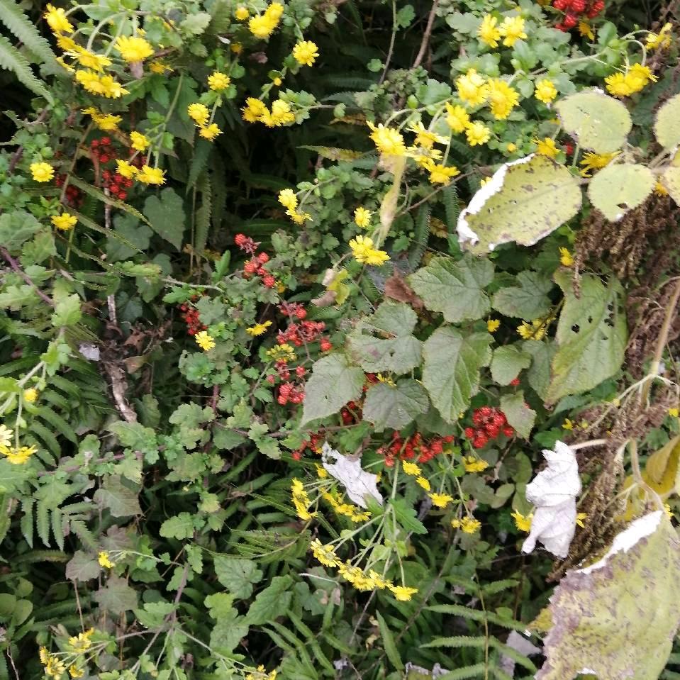 工地上的小姐姐