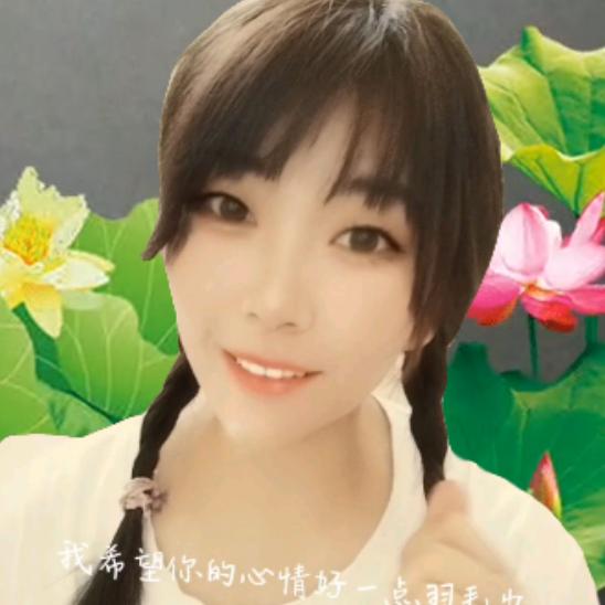 叶子爱三宝