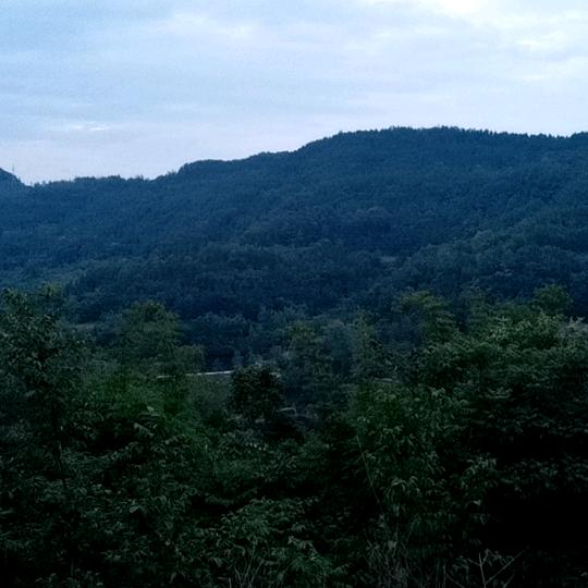 南充四川西充哥