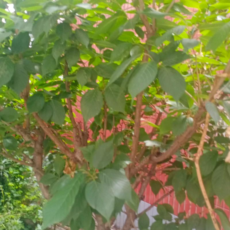 顺其自然。