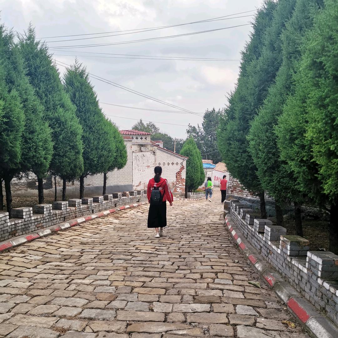 翎羽