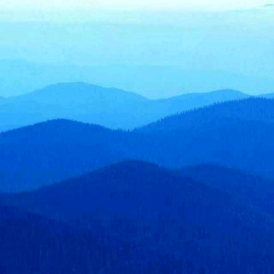 临沂华野广告-姜涛