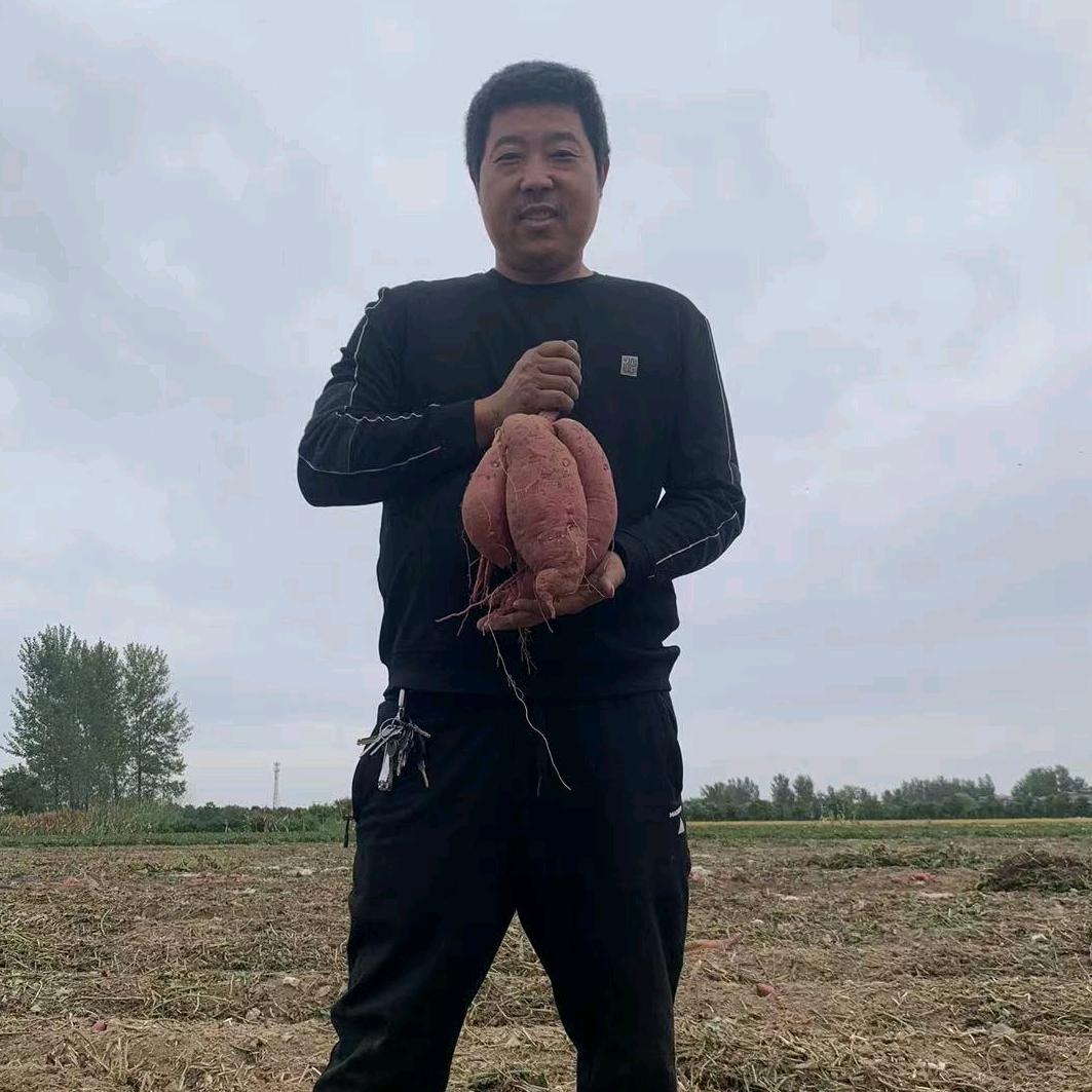 临泉县老集福成代购代销红薯🍠胡罗卜🥕