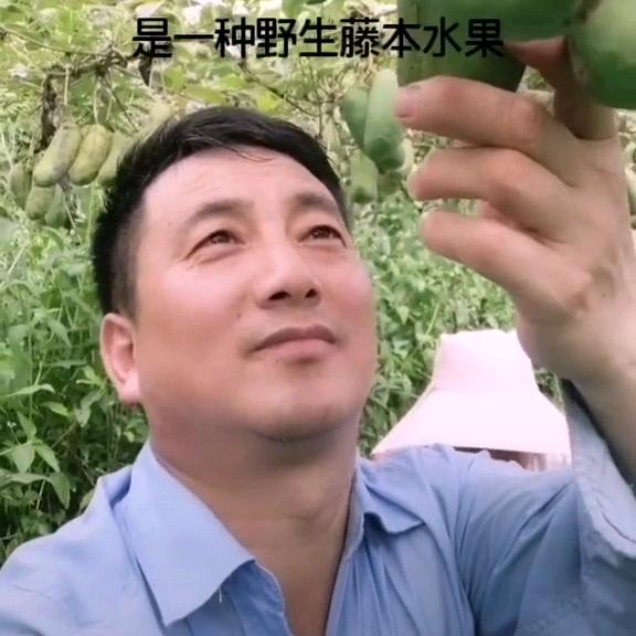 悠悠岁月