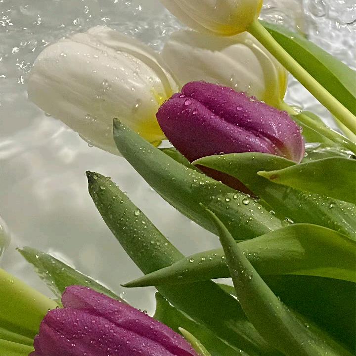 💘初吻💋给了烟🚬