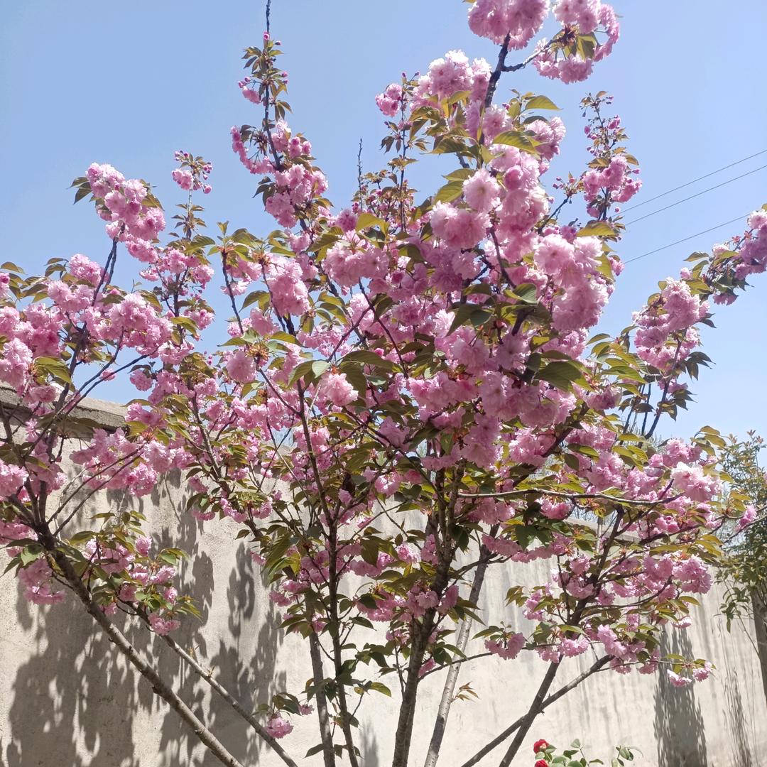 逆流而上