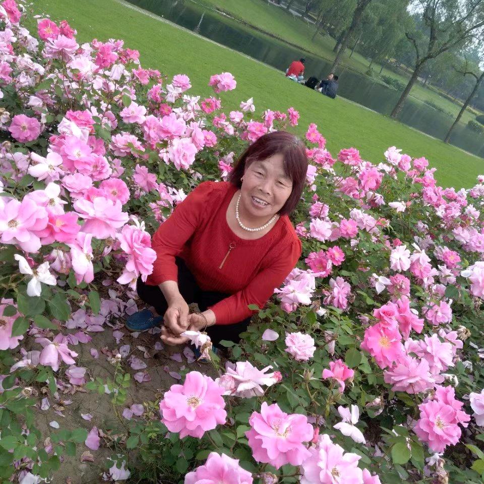 清风如影