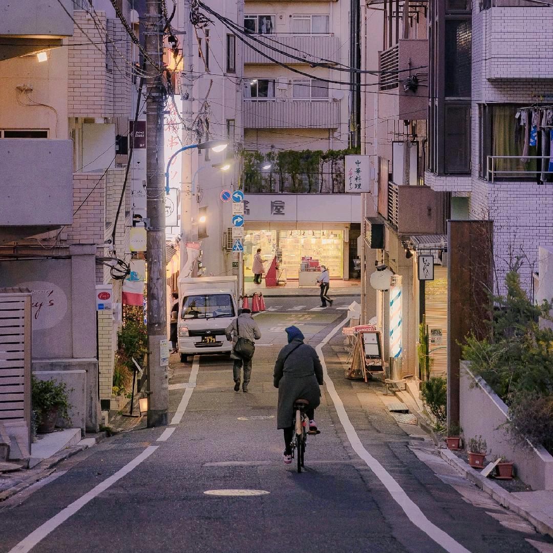 恳露
