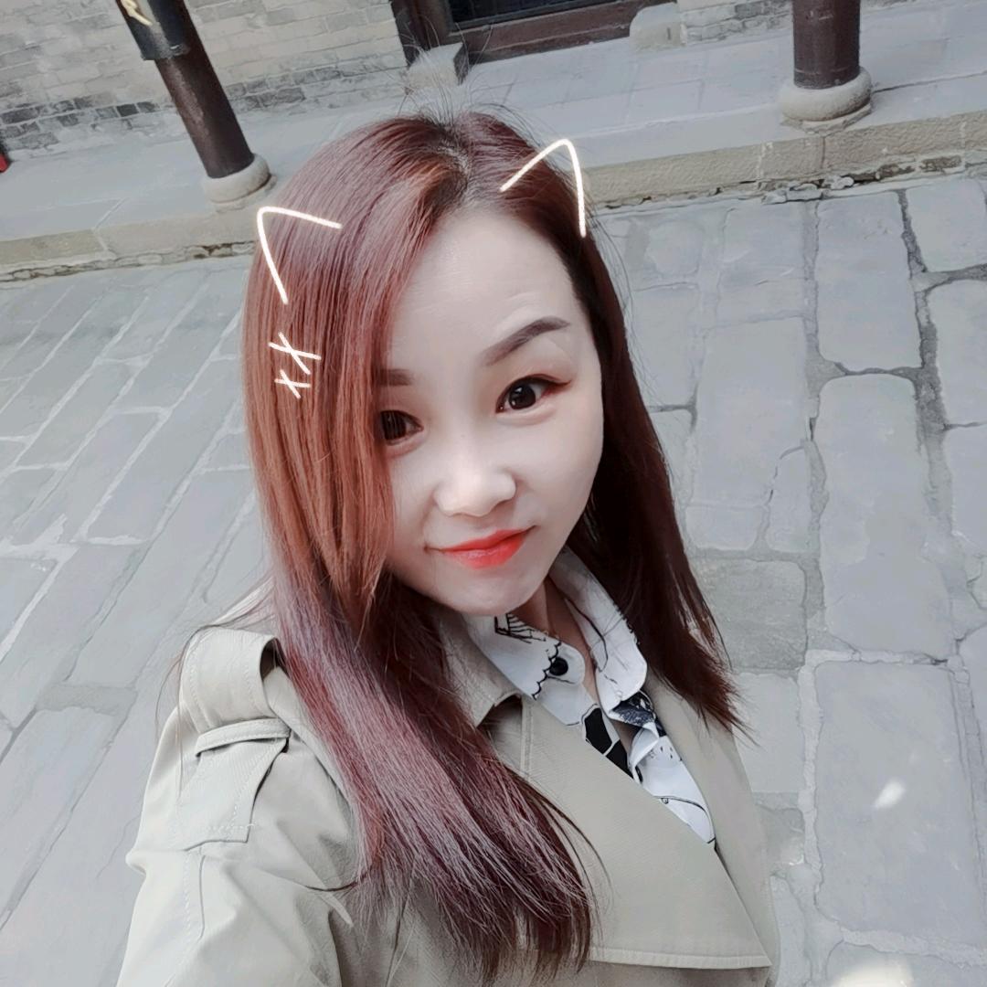 睡午觉的猫咪
