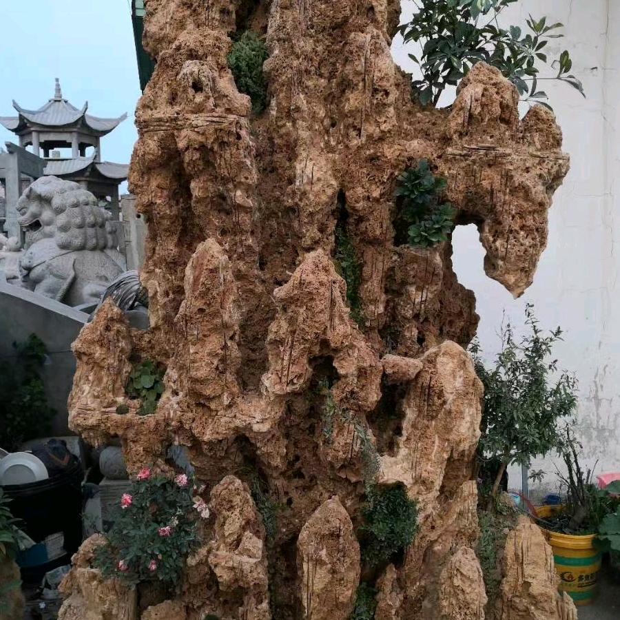 杨哥