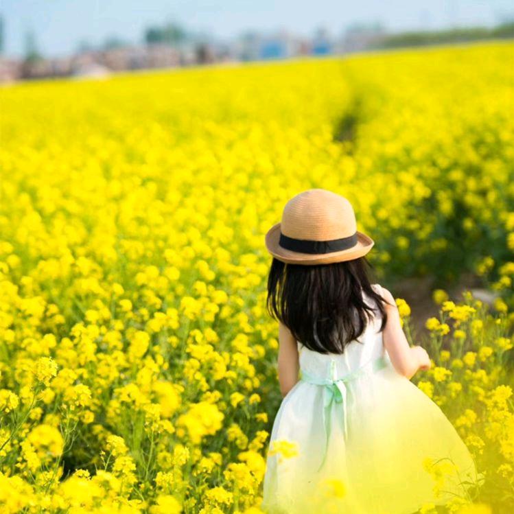 心若向阳239605318