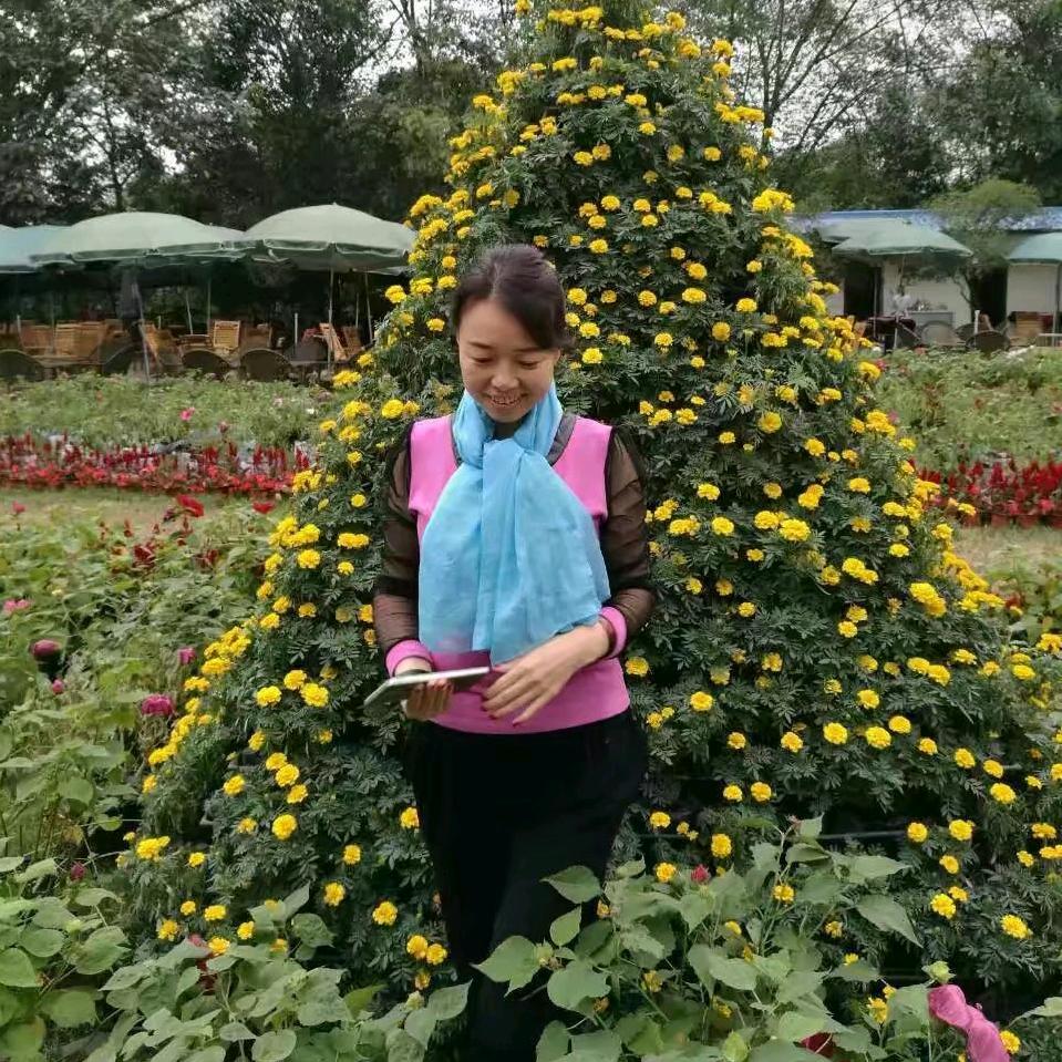 简单~最美