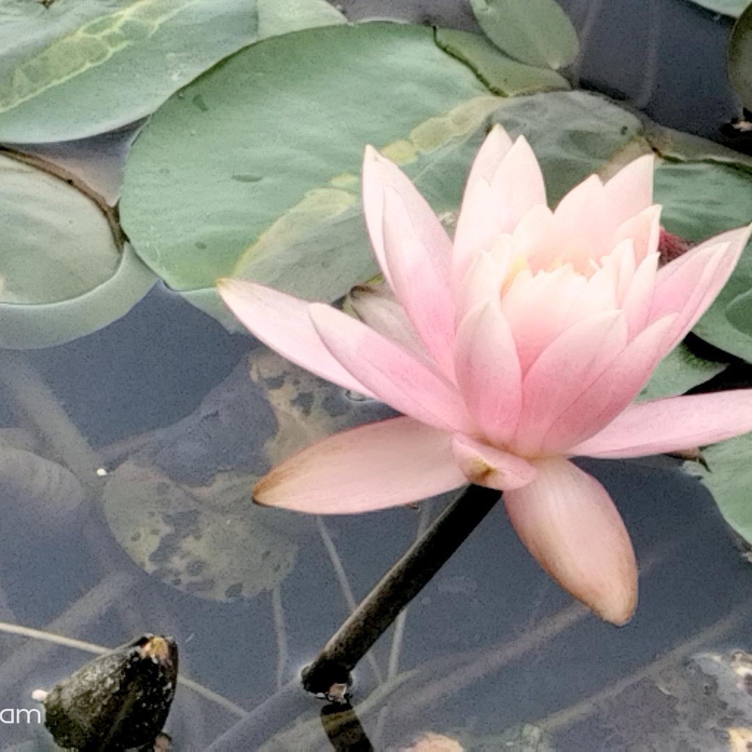 缘份天空