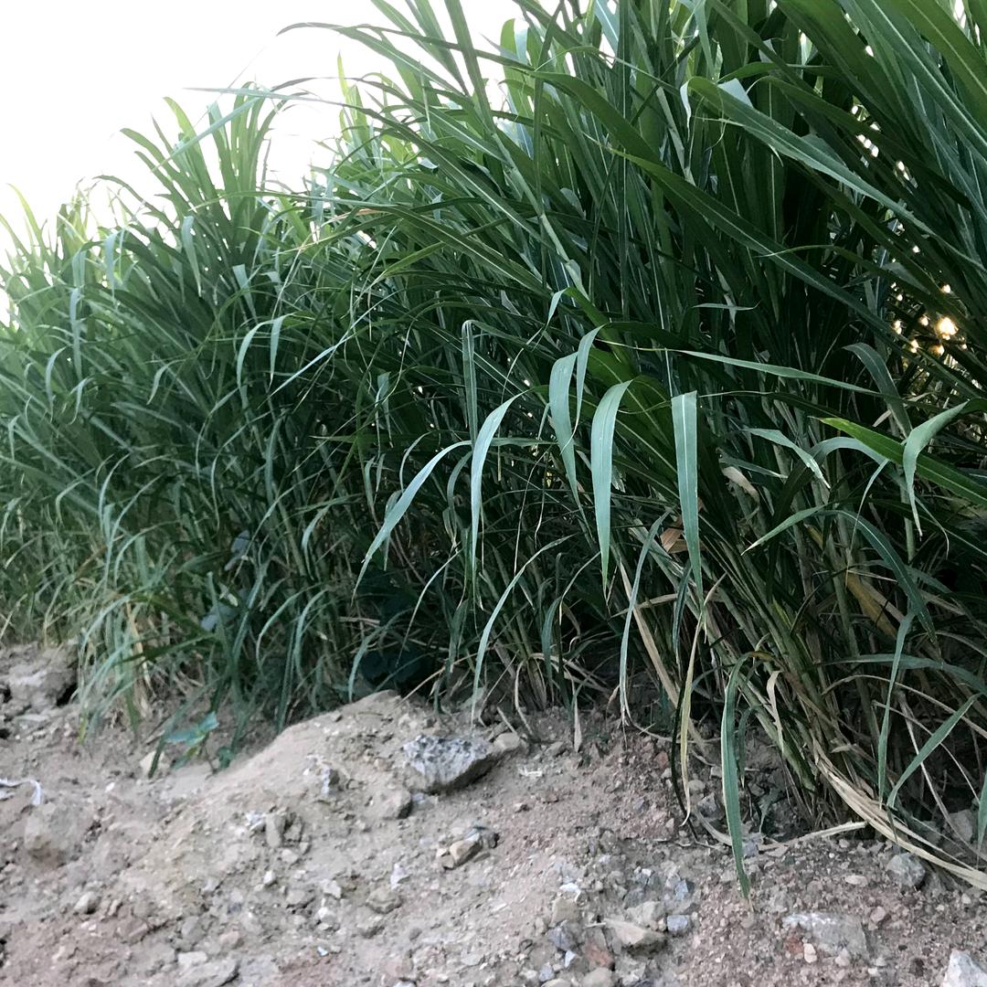 信仰@