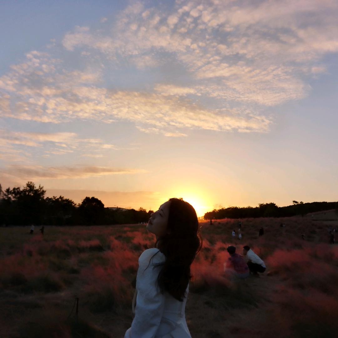 Yes 朵朵的花花