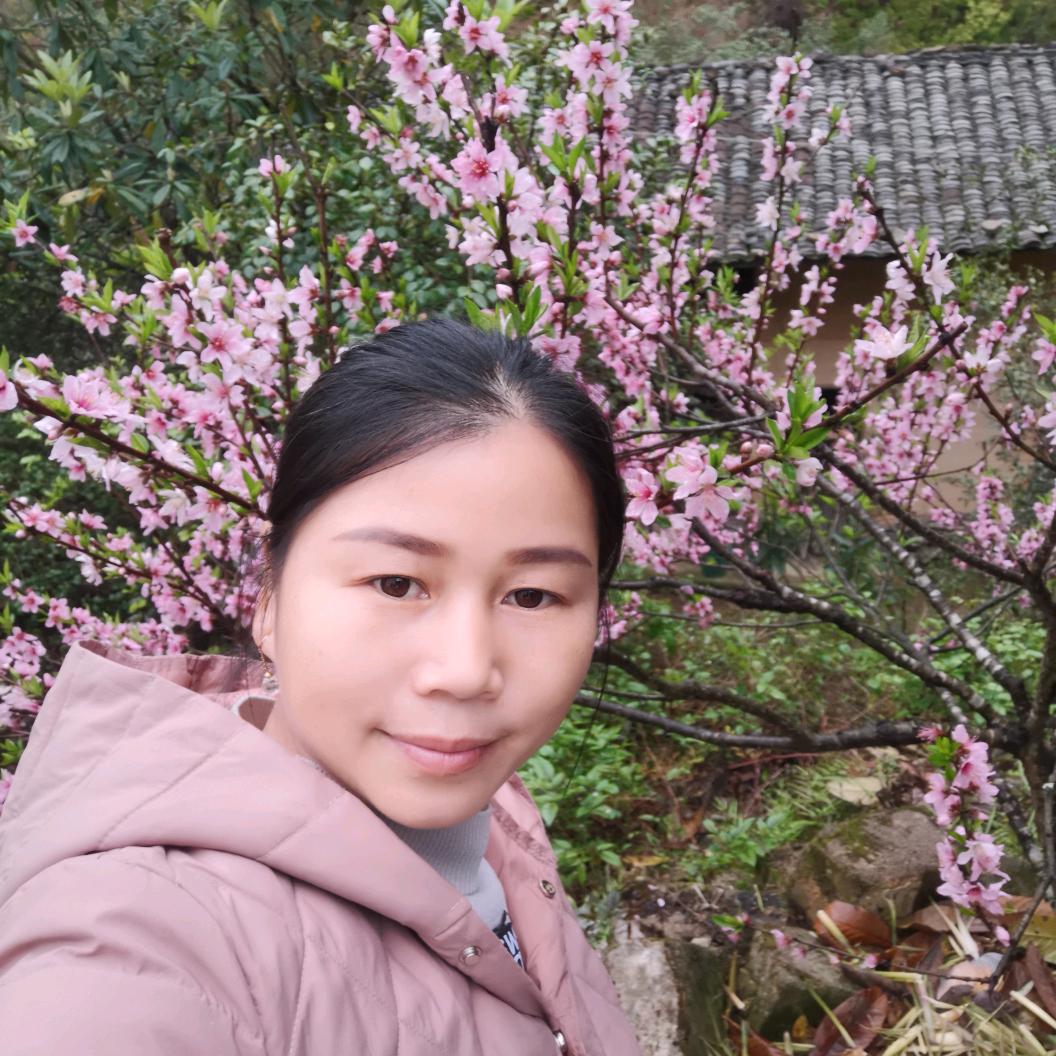 踏雪赏梅