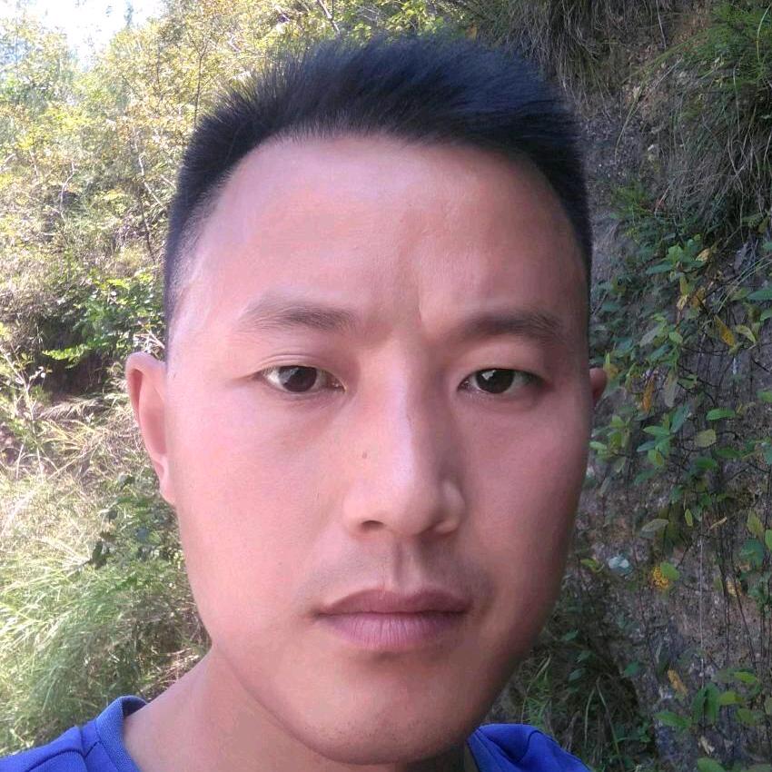 红线哥
