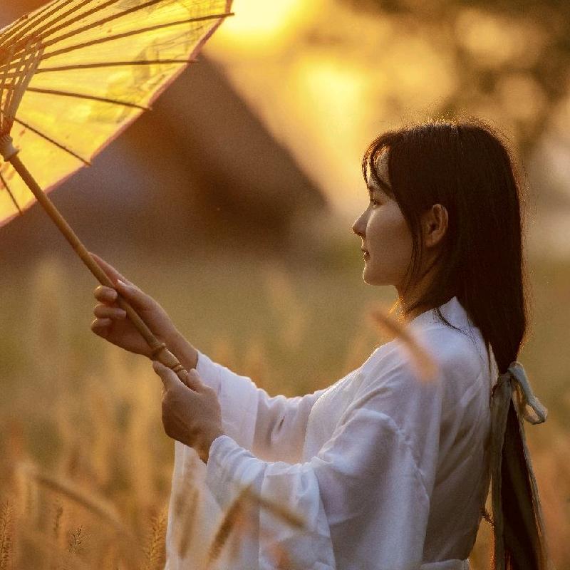 杭州仿仿