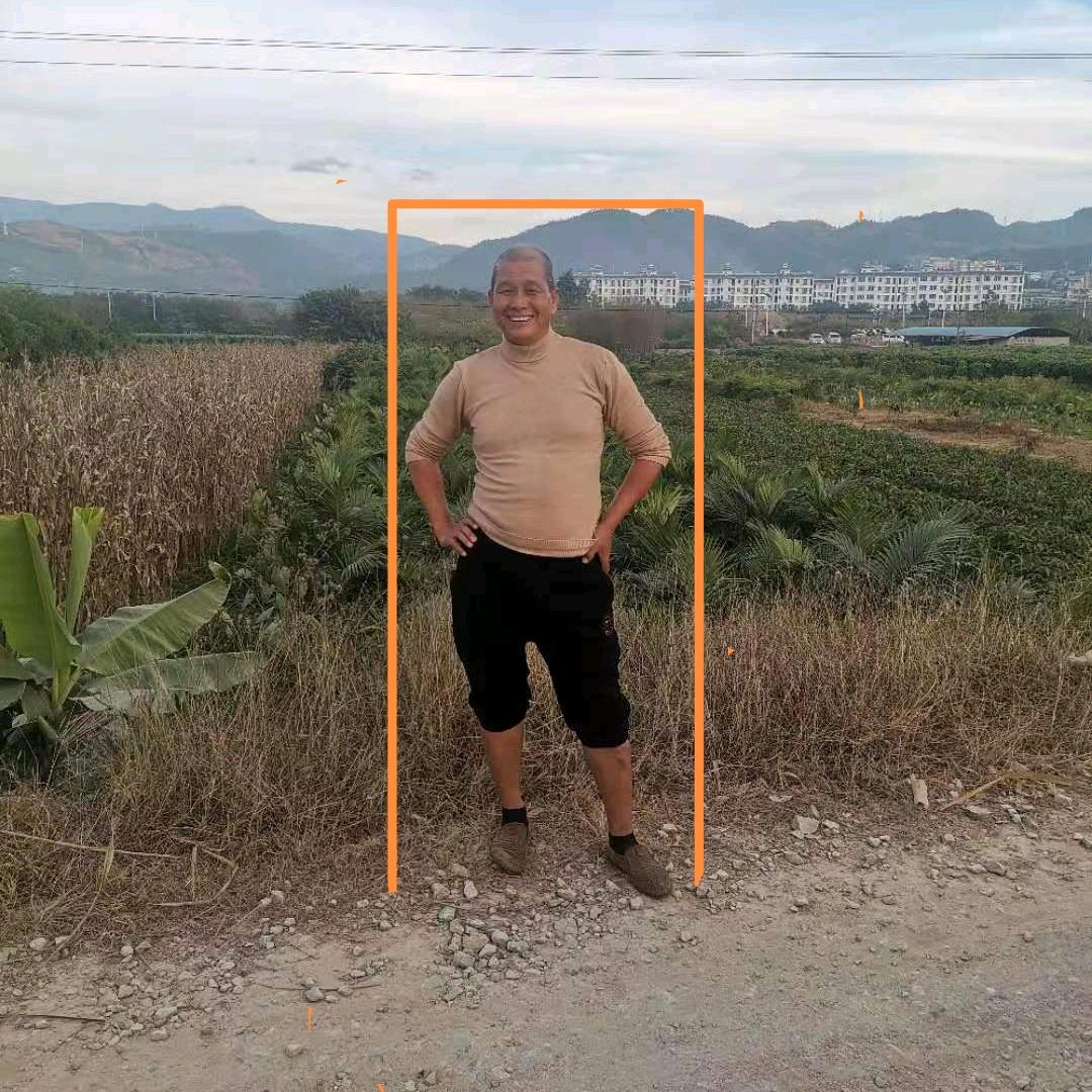 白哥