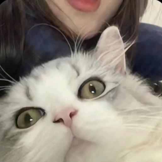 ￥.