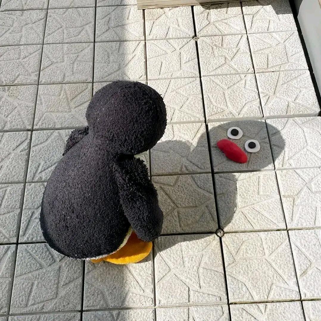 愿你走出半生归来仍是少年