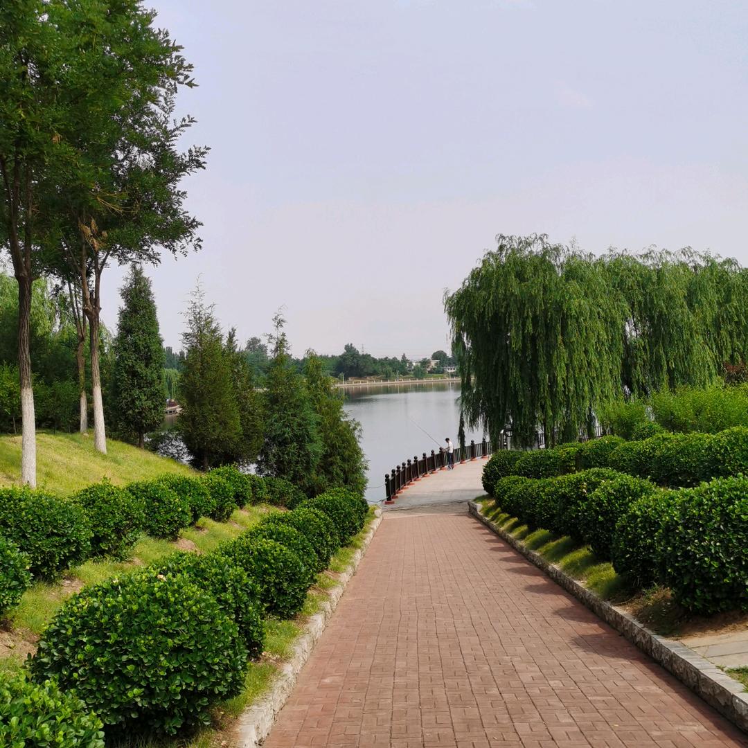 职道李老师