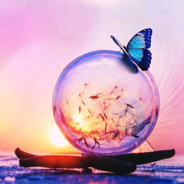 ♥清雅淡然