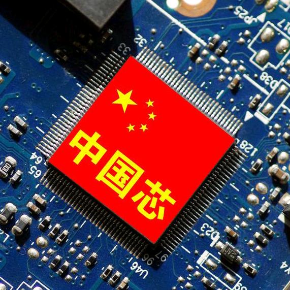 虾之梦