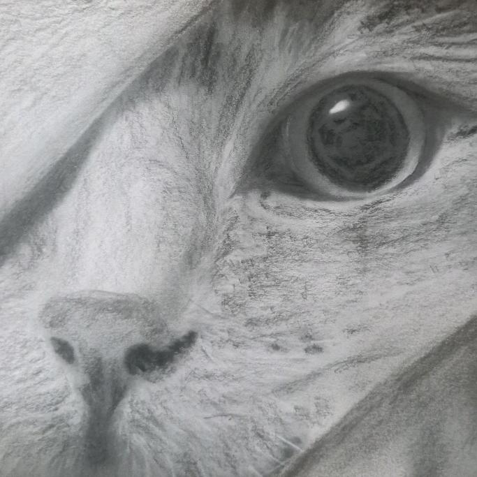 泰逢☞心情🕊️