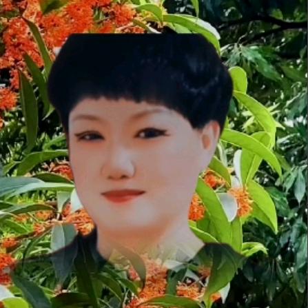 八月桂花