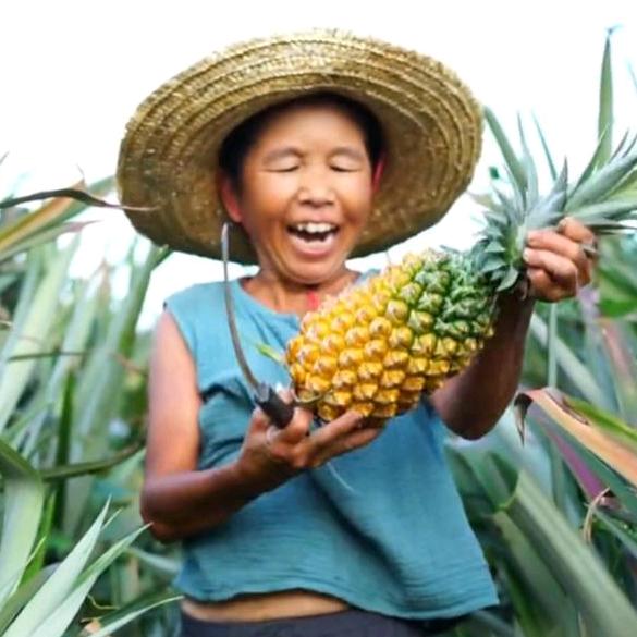 夏天情感咨询