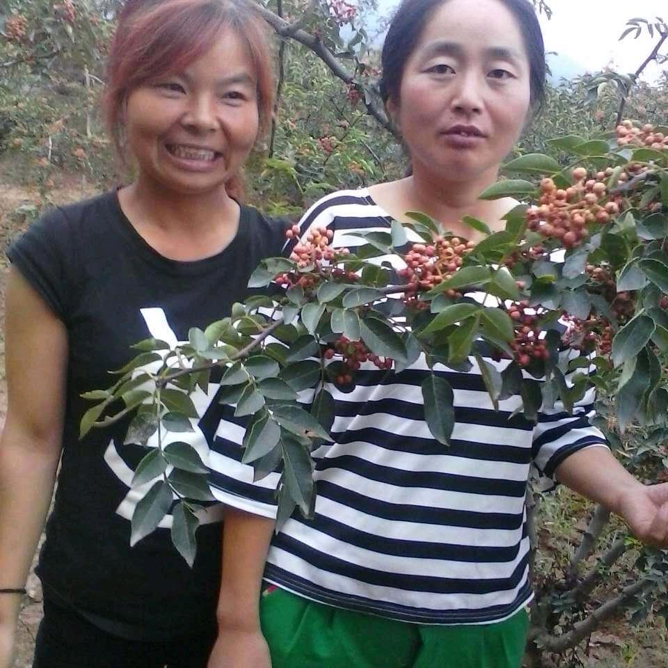 莉莉