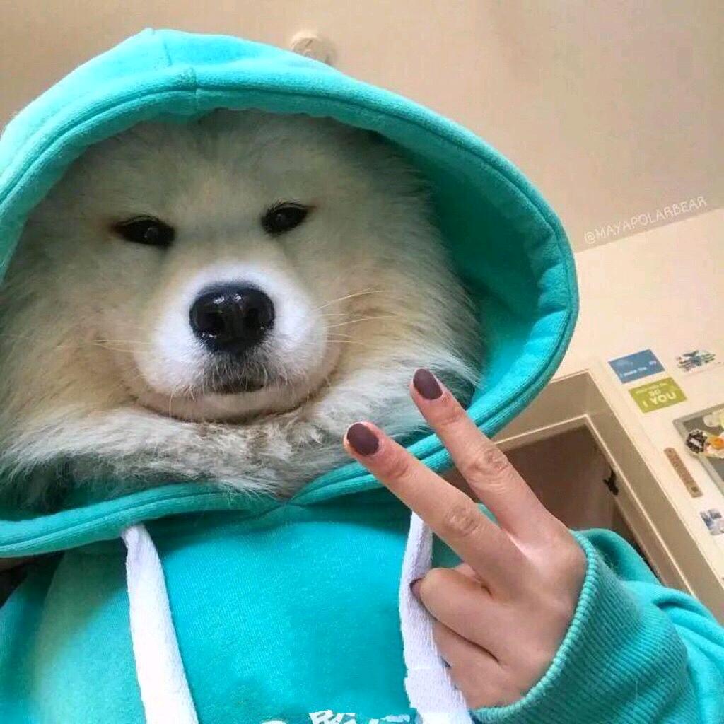 巴啦啦不能亮