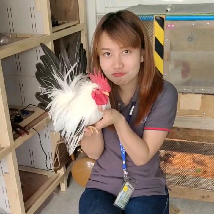 管先森🐓นายกวน🐓