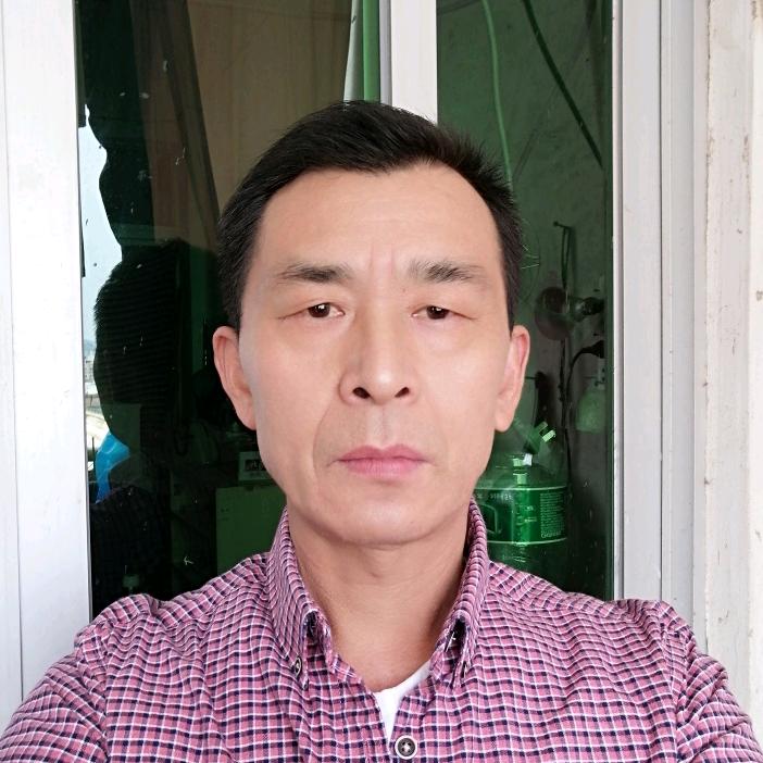一只猫的露