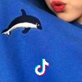 dolphin