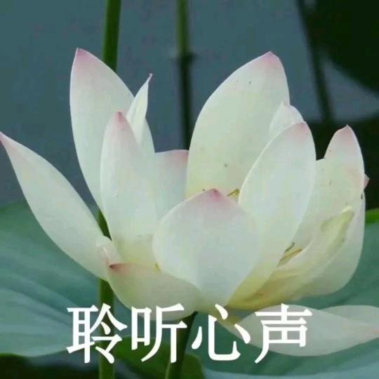 方源泉丰