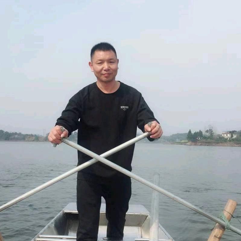 杨金