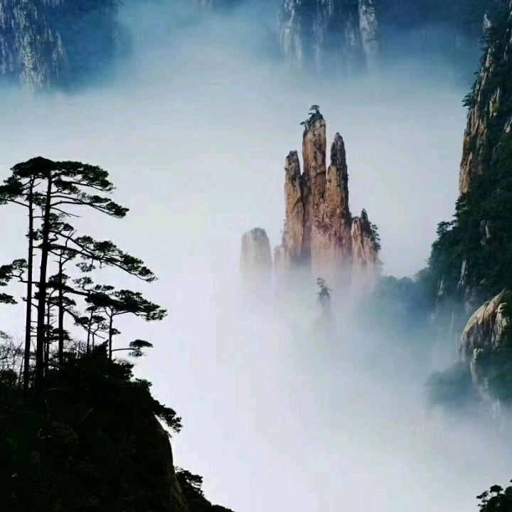 相似相知