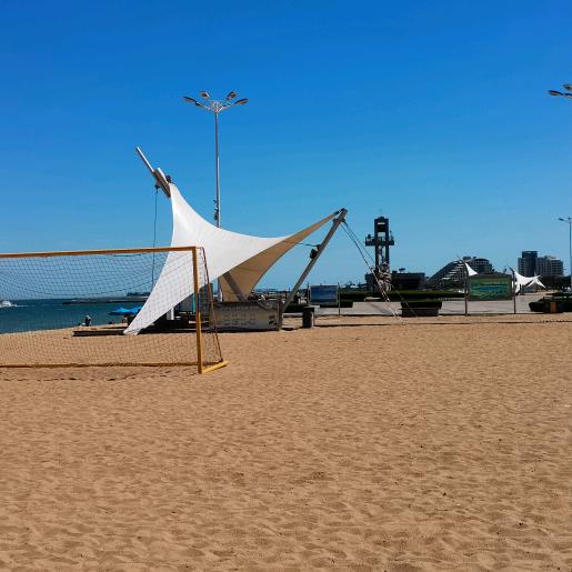 小刘不爱吃香菜