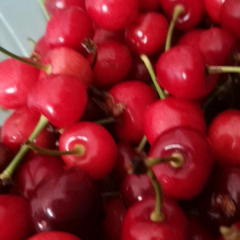 花非花，雾非雾